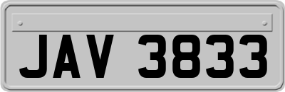 JAV3833