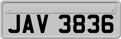 JAV3836