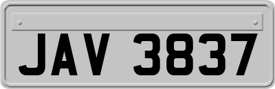 JAV3837