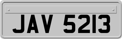 JAV5213