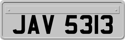 JAV5313