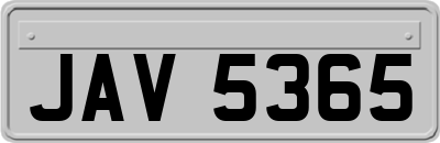 JAV5365