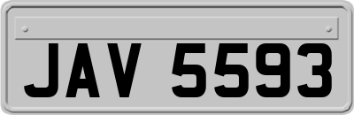 JAV5593