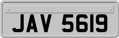 JAV5619