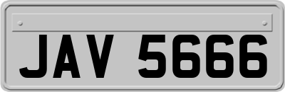 JAV5666