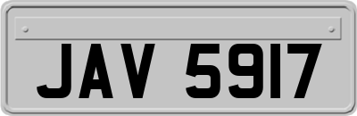 JAV5917