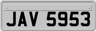 JAV5953