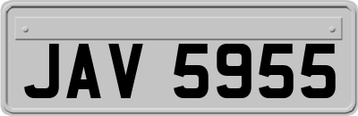 JAV5955