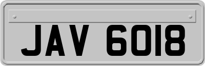 JAV6018