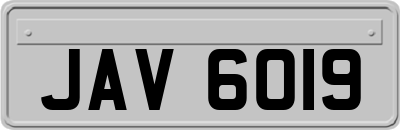 JAV6019