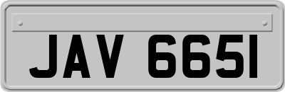 JAV6651