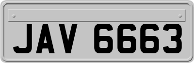 JAV6663