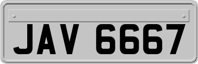 JAV6667