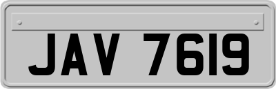 JAV7619