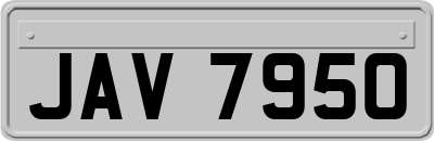 JAV7950