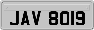 JAV8019