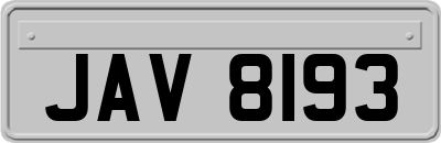 JAV8193