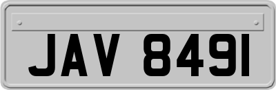 JAV8491