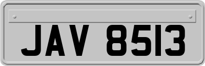 JAV8513