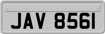 JAV8561