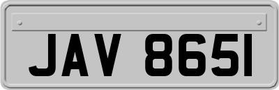 JAV8651