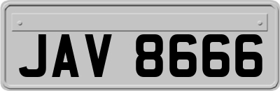 JAV8666