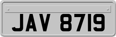JAV8719