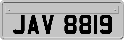 JAV8819
