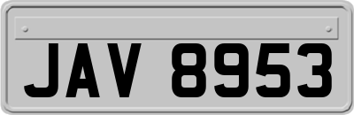 JAV8953