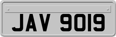 JAV9019