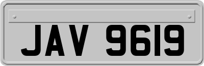 JAV9619
