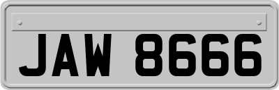 JAW8666