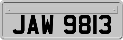 JAW9813
