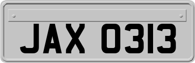 JAX0313