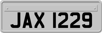 JAX1229