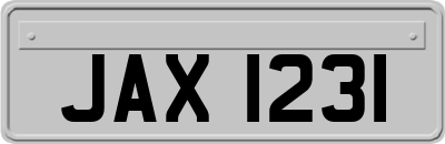 JAX1231
