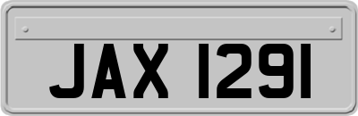 JAX1291
