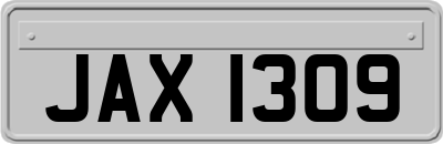 JAX1309