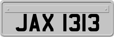JAX1313