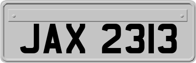 JAX2313