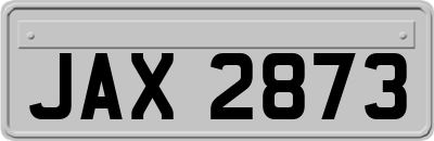 JAX2873