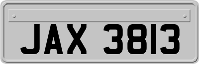 JAX3813