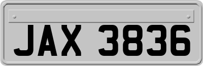 JAX3836