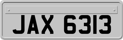 JAX6313