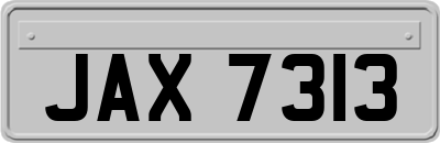 JAX7313