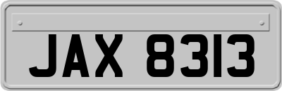 JAX8313
