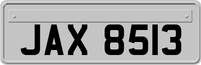 JAX8513