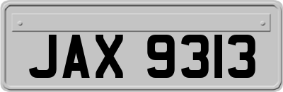 JAX9313