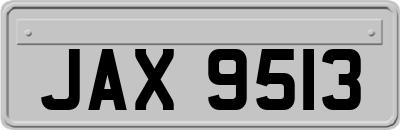 JAX9513