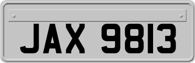 JAX9813
